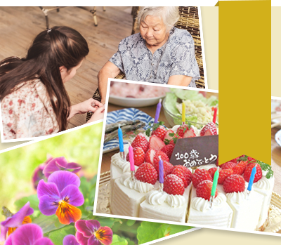 フォトギャラリー